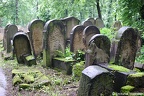 Kraków, cmentarz żydowski
