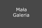 Mała Galeria